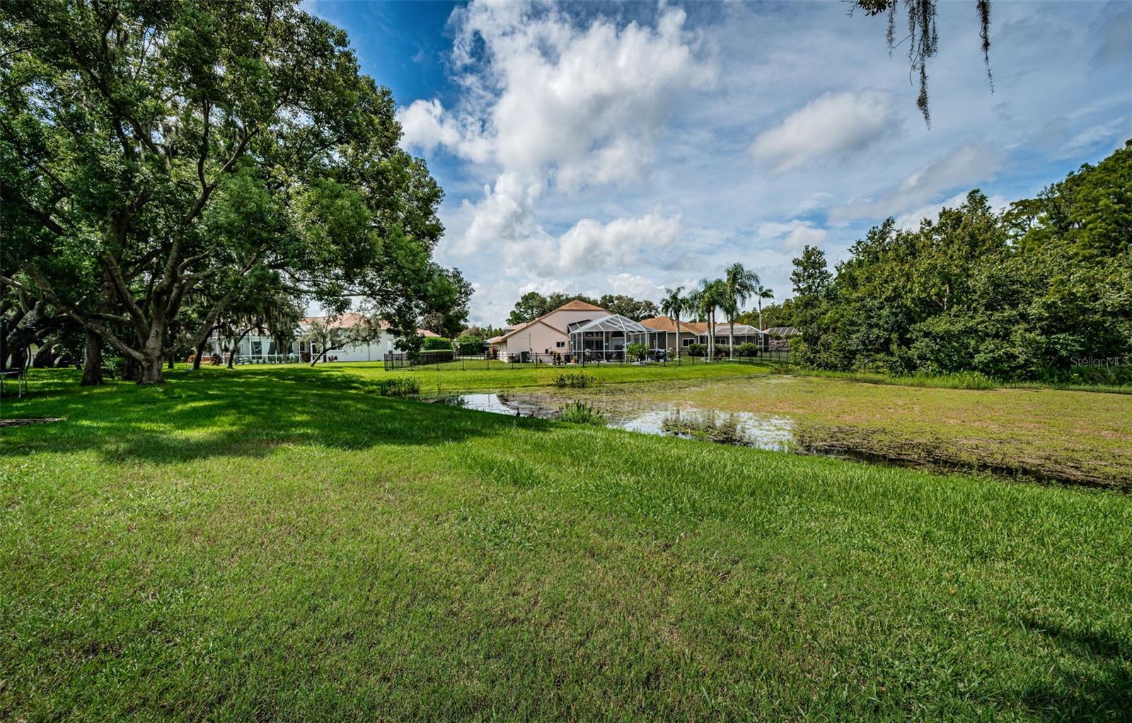 Conservation and Pond views