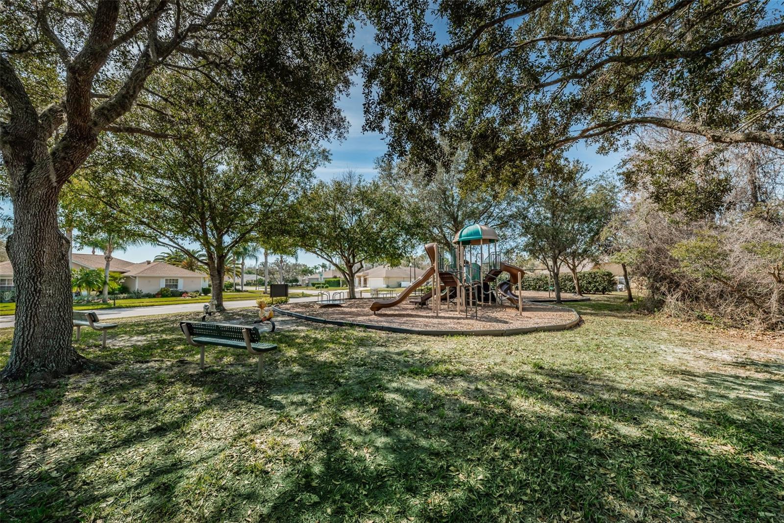 Trinity Oaks playground