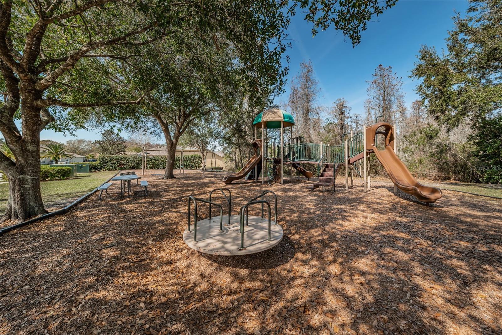 Trinity Oaks playground