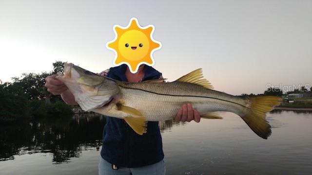 And yet another HUGE fish caught off of dock!