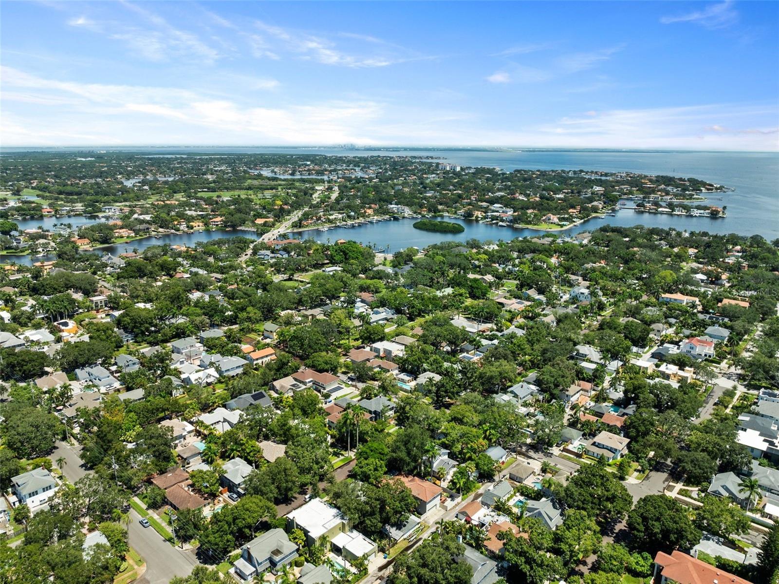 Aerial view