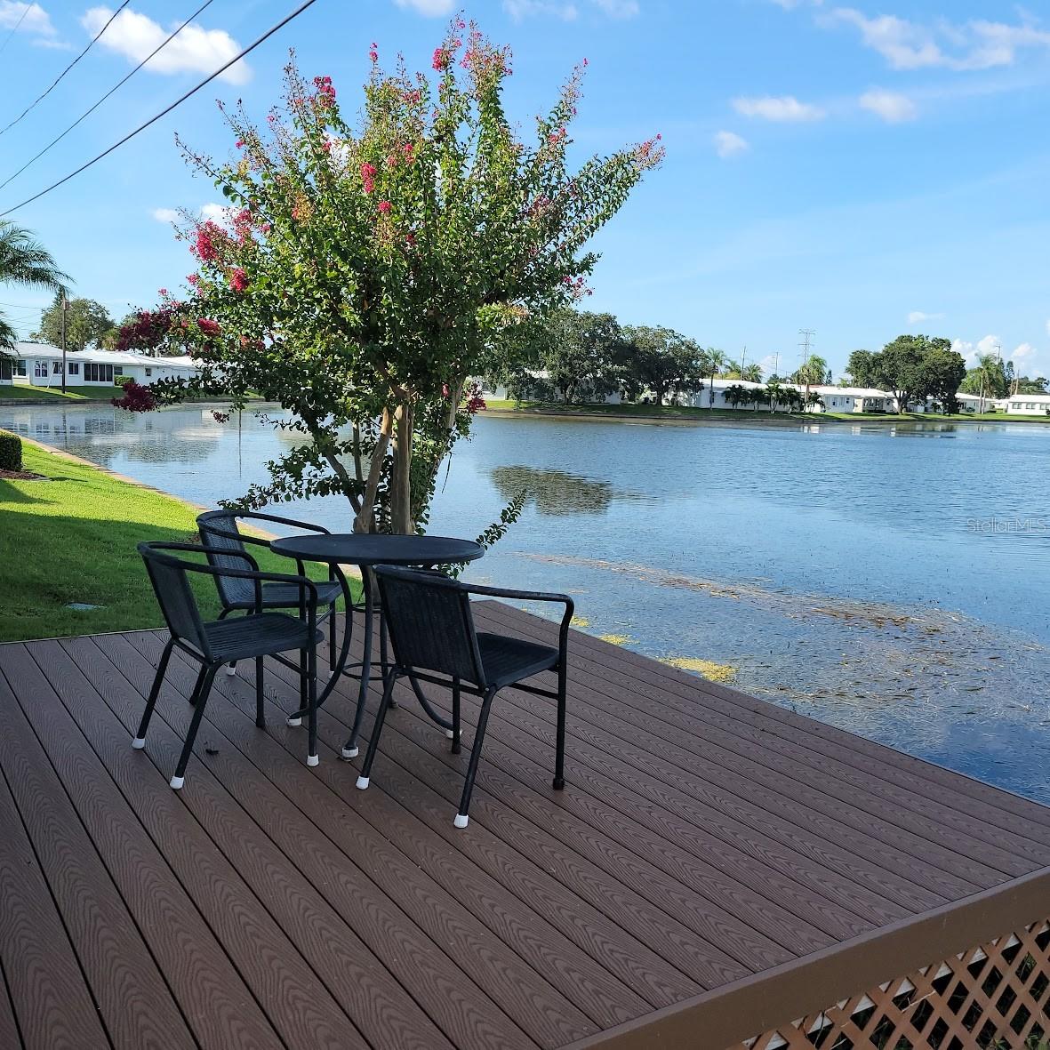 The back lake view has alot to offer when it comes to different views whether it be birds flying by or turtles / fish swimming by.