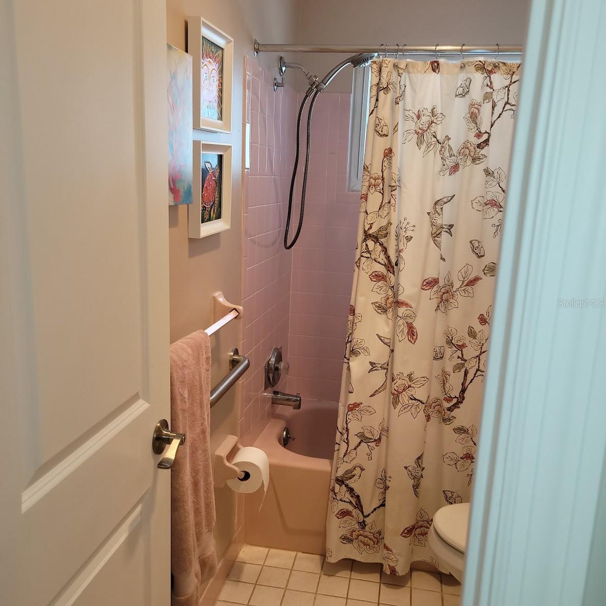 Guest bathroom