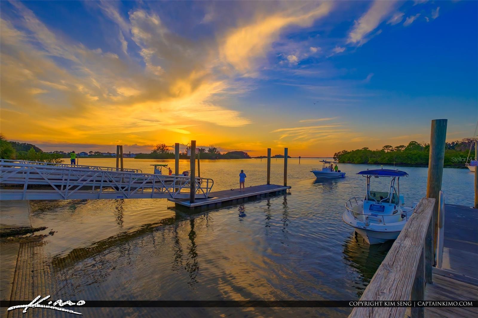 Take the boat to the Gulf and Anclote Sandbar. The boat launch is in Anclote park.