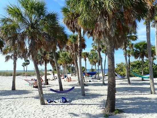 Relax or swim at Fred Howard Park...maybe a little of both!