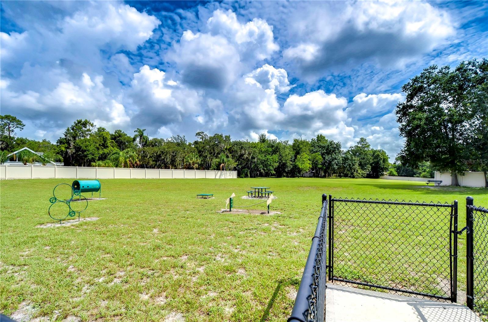 Community dog park!