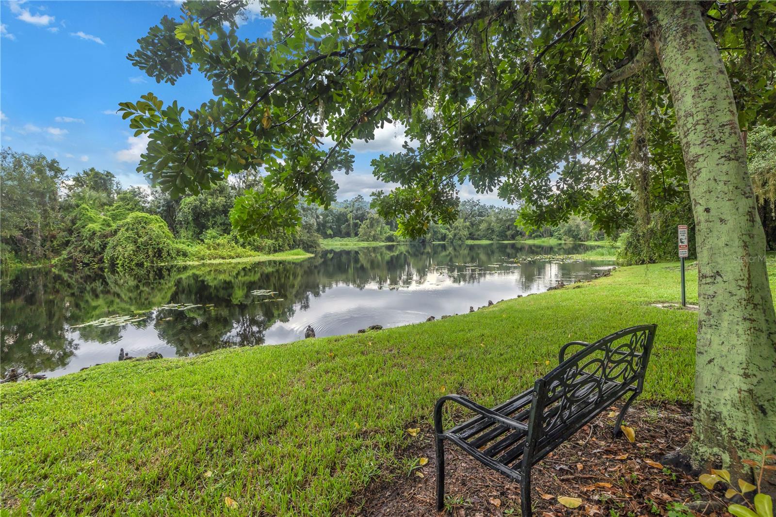 COMMUNITY LAKE