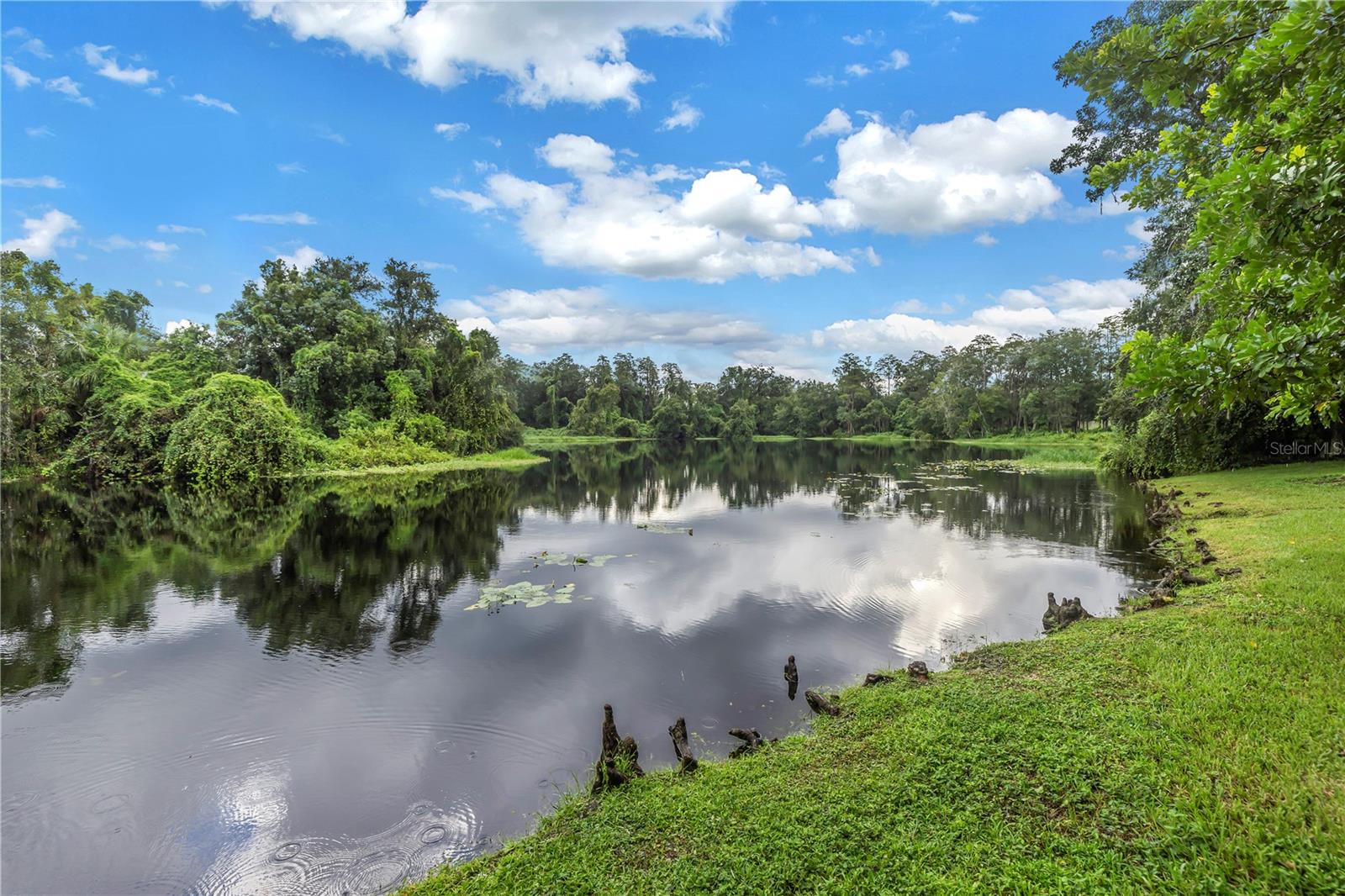 COMMUNITY LAKE