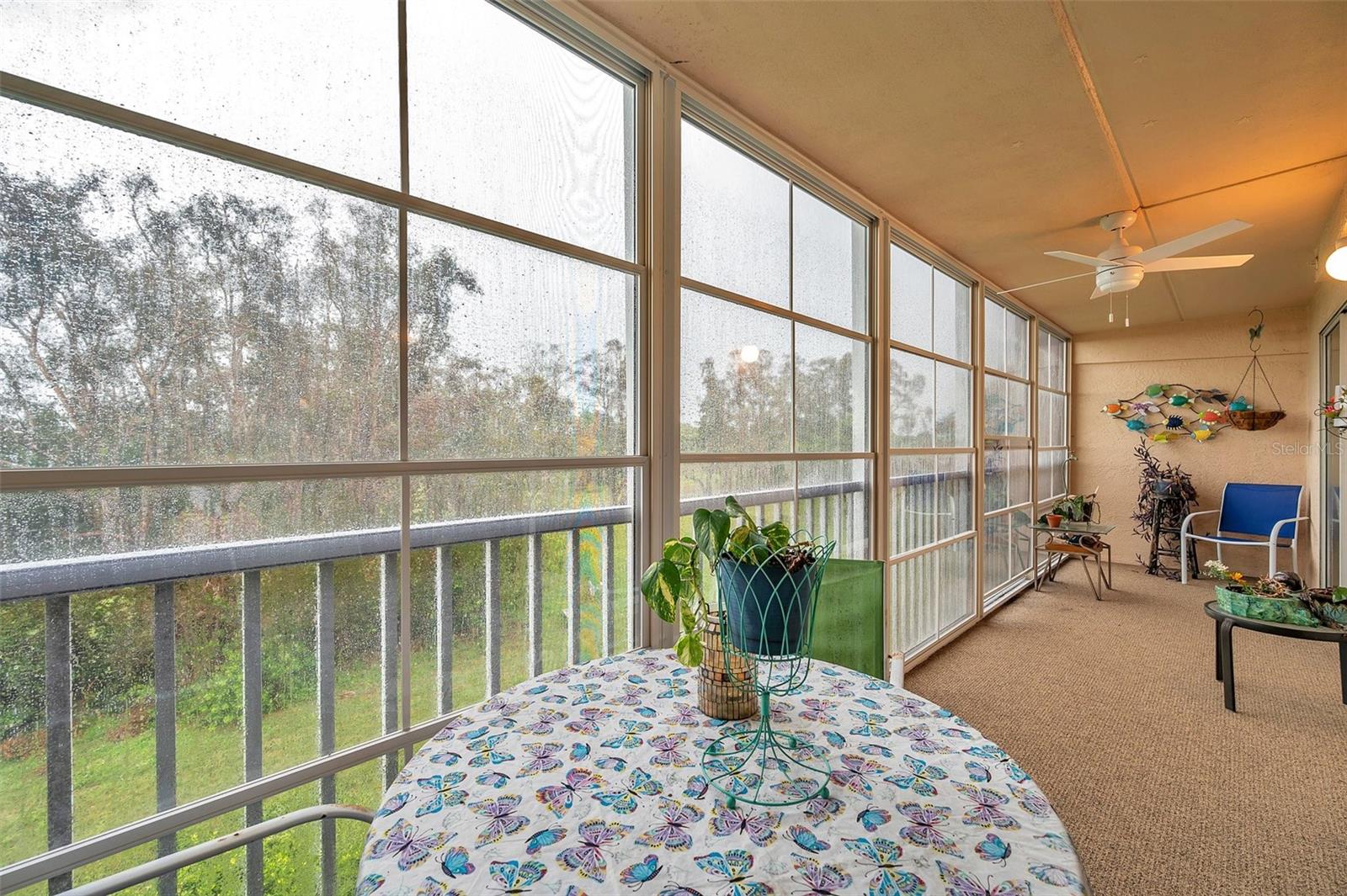 4th floor balcony overlooking nature preserve with nature trails