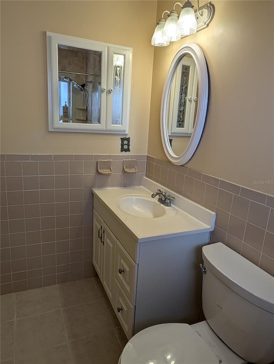 View from shower to built in medicine chest.