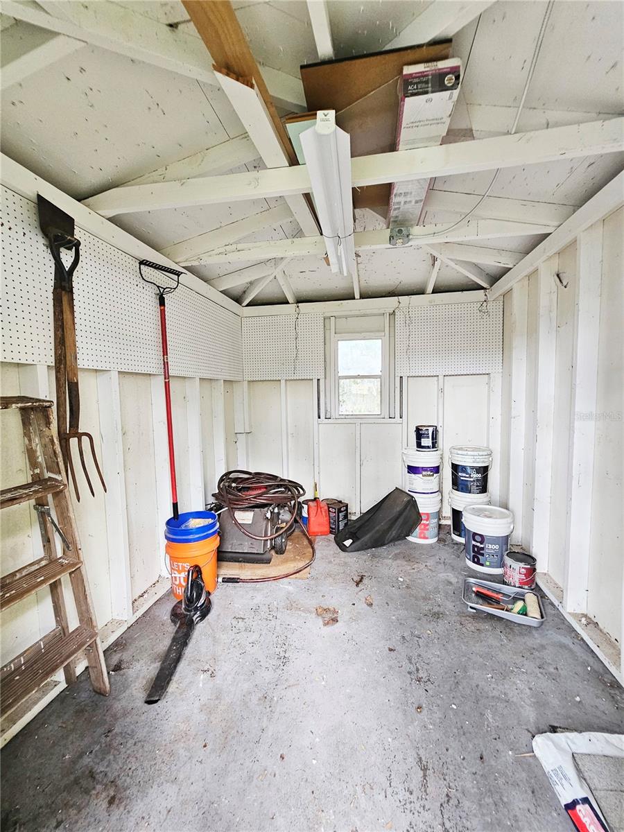 Shed Interior