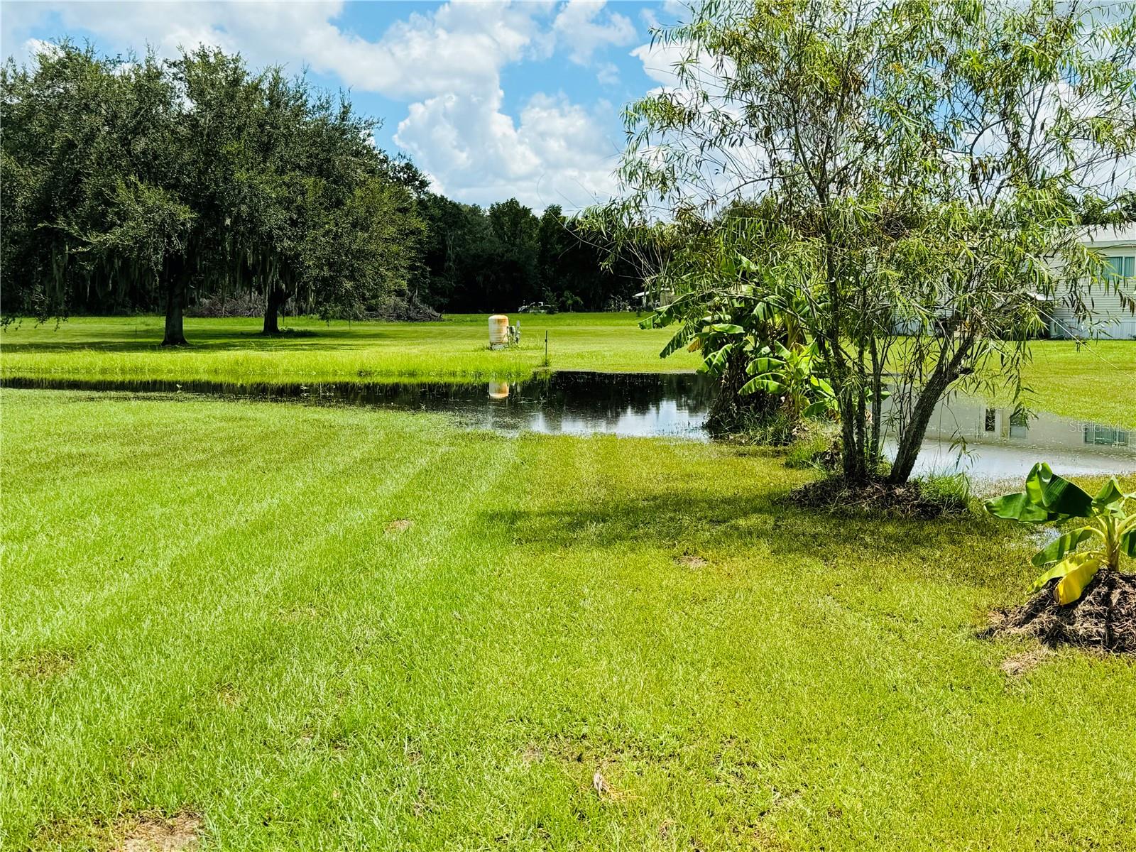 .08 of your acre is designated lowlands conservation, seller says it is wonderful to see the wildlife that will come visit