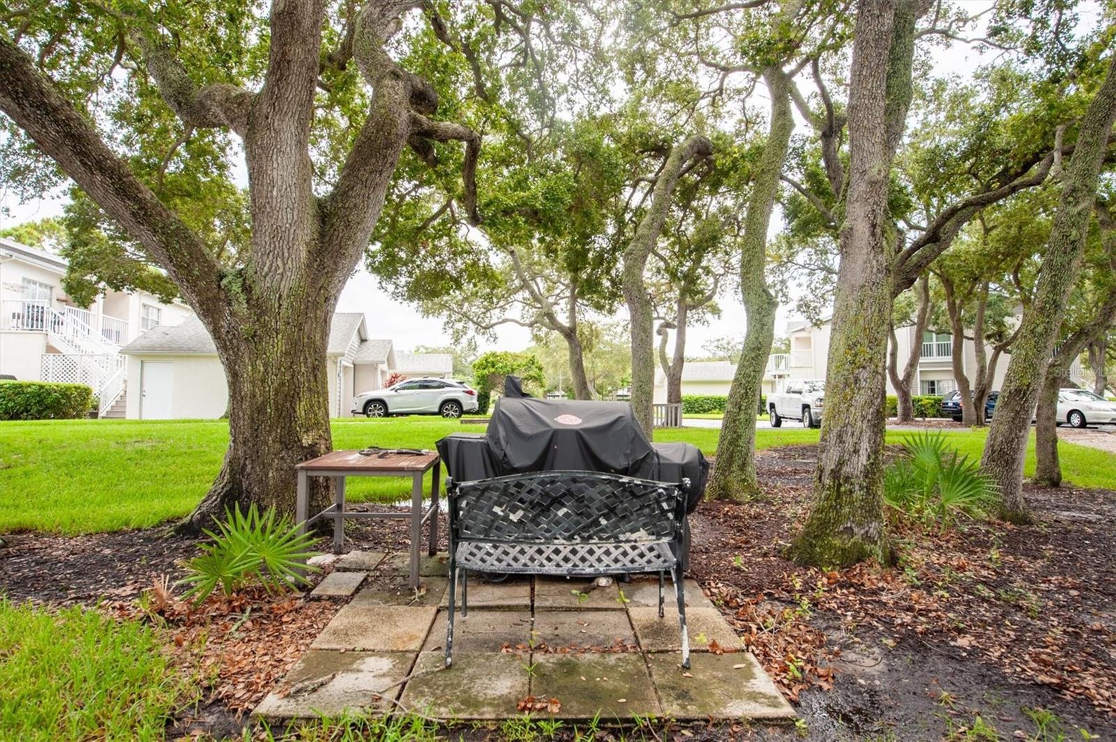 Outdoor grilling area