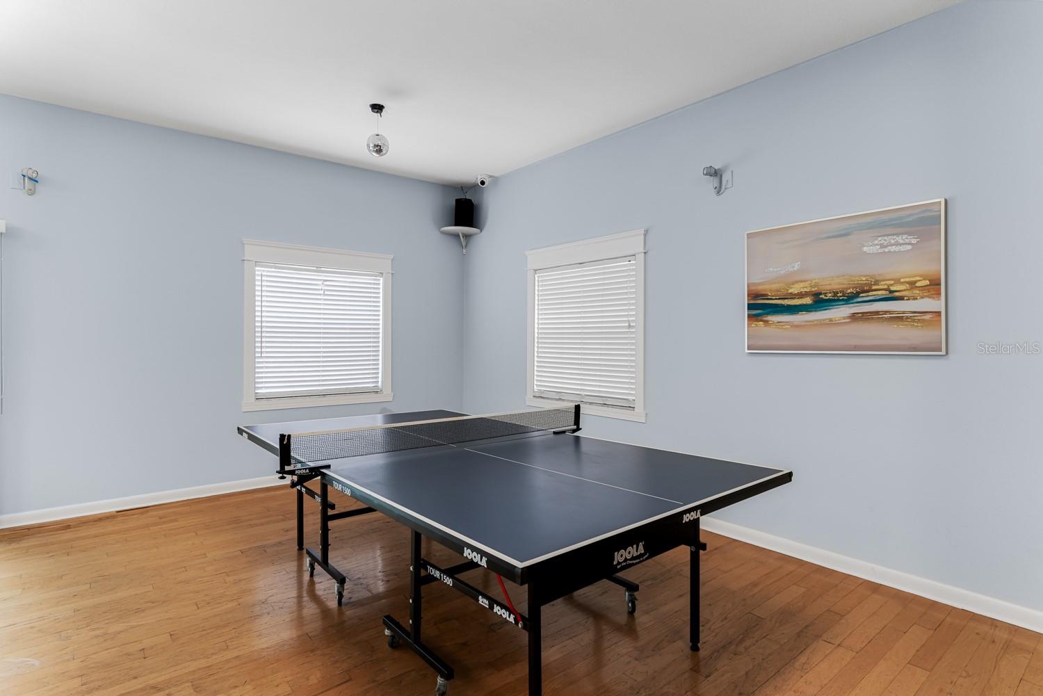 Ping pong table