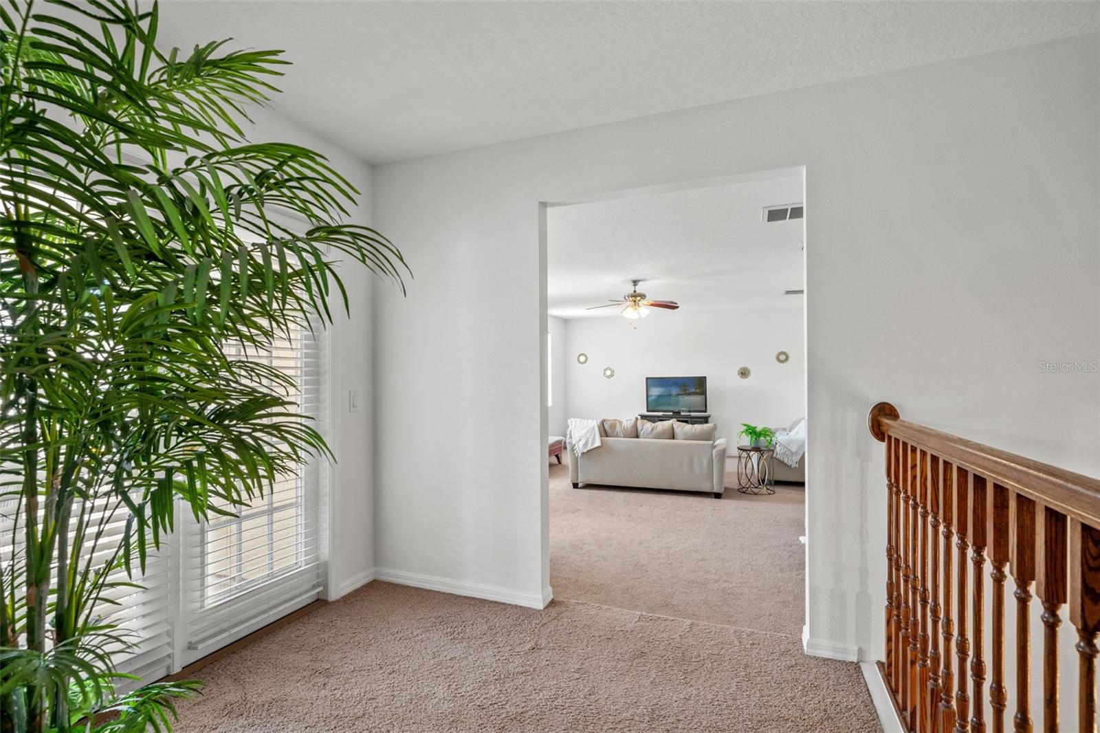 All carpet replaced with laminate flooring from the stairway and all upstairs.