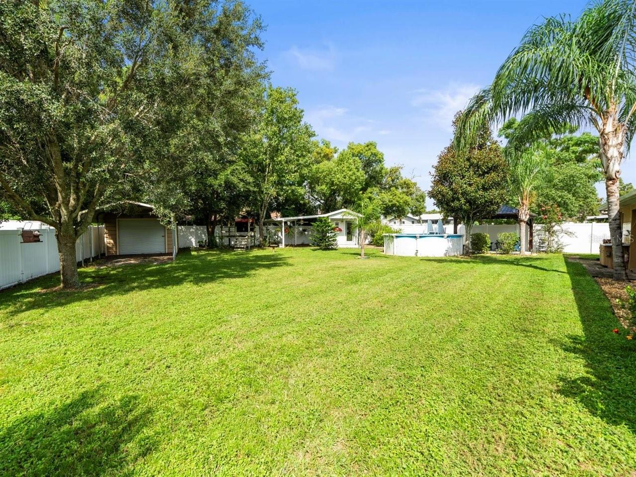 Expansive backyard