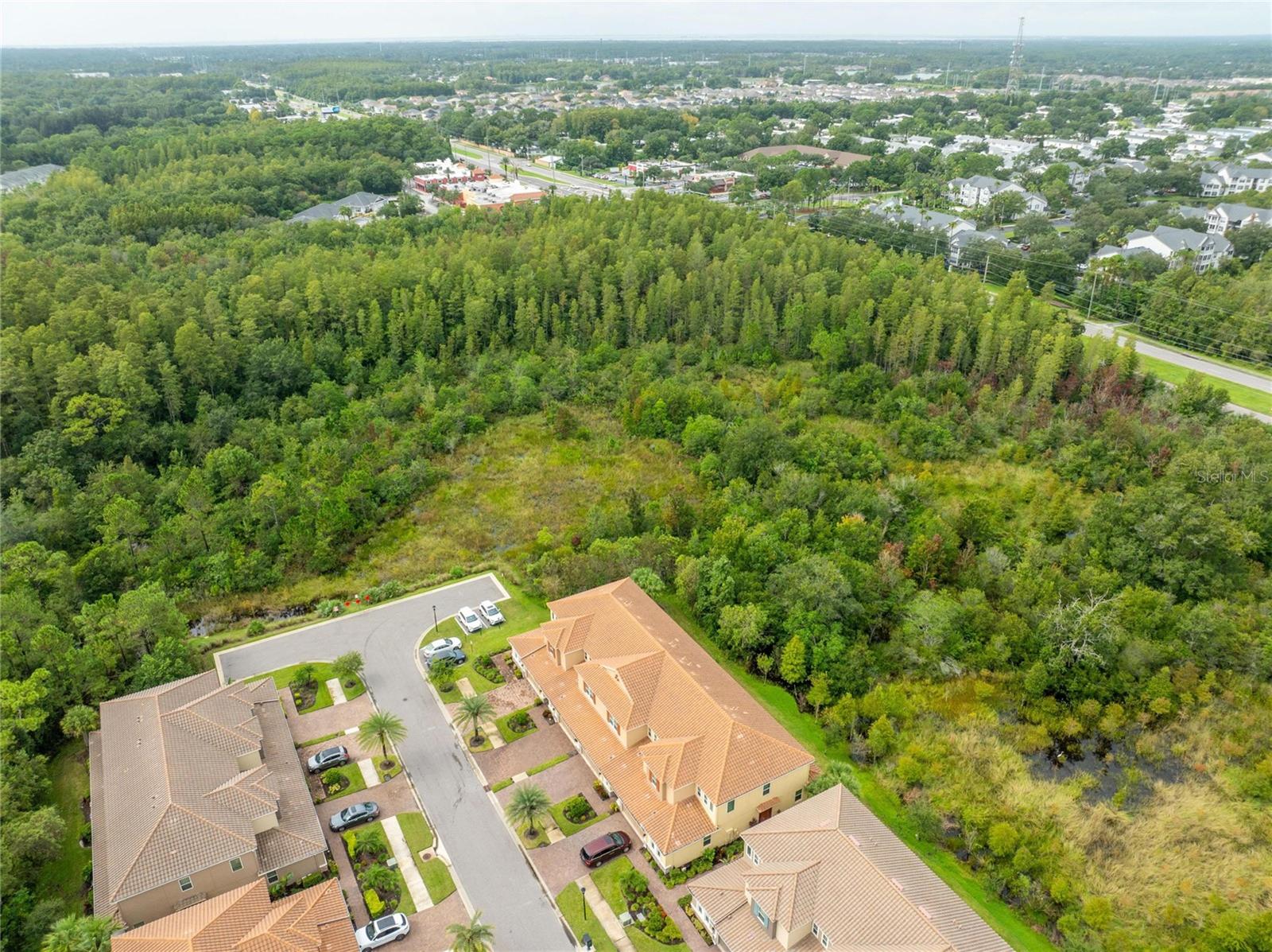 Aerial for 12304 Terracina Chase Ct