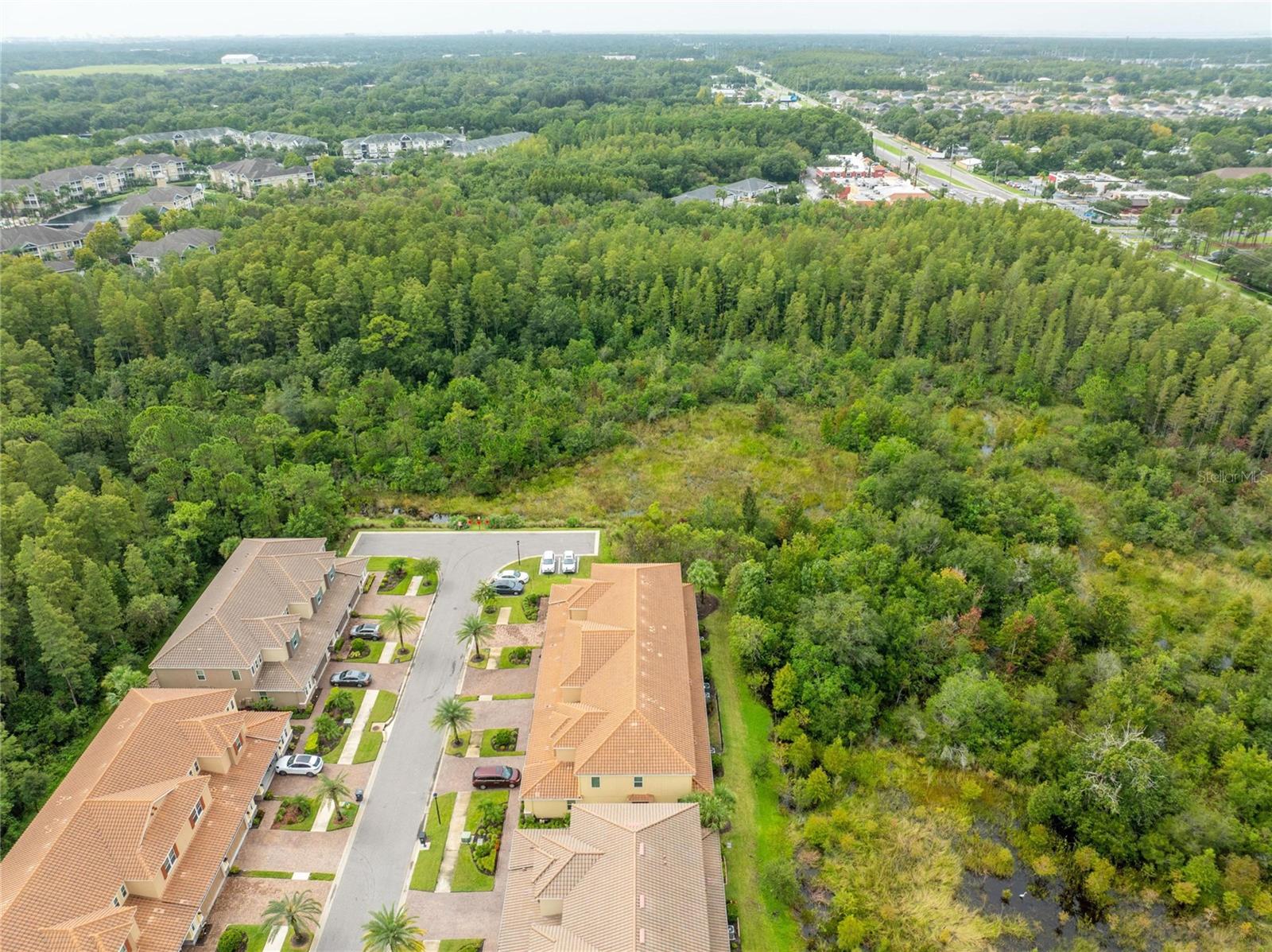 Aerial for 12304 Terracina Chase Ct