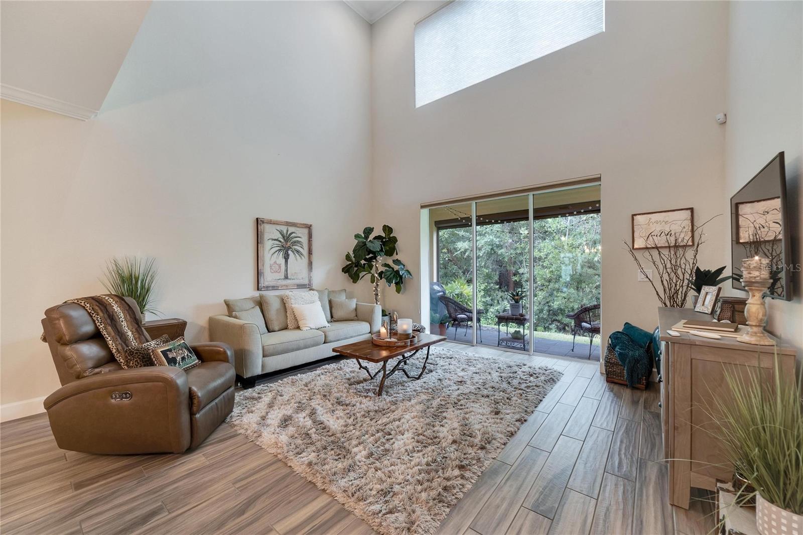 Living Room at 12304 Terracina Chase Ct