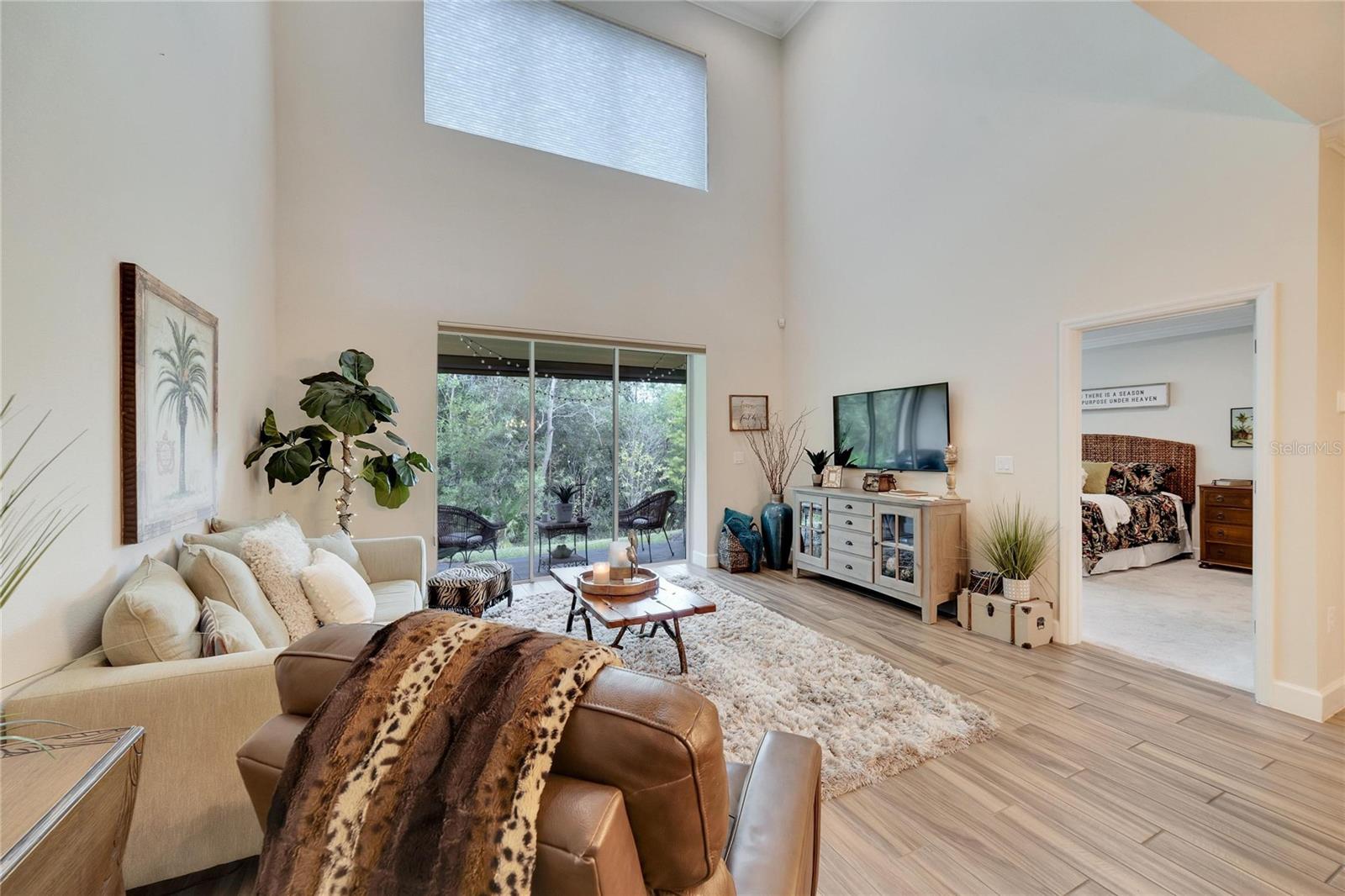 Living Room at 12304 Terracina Chase Ct