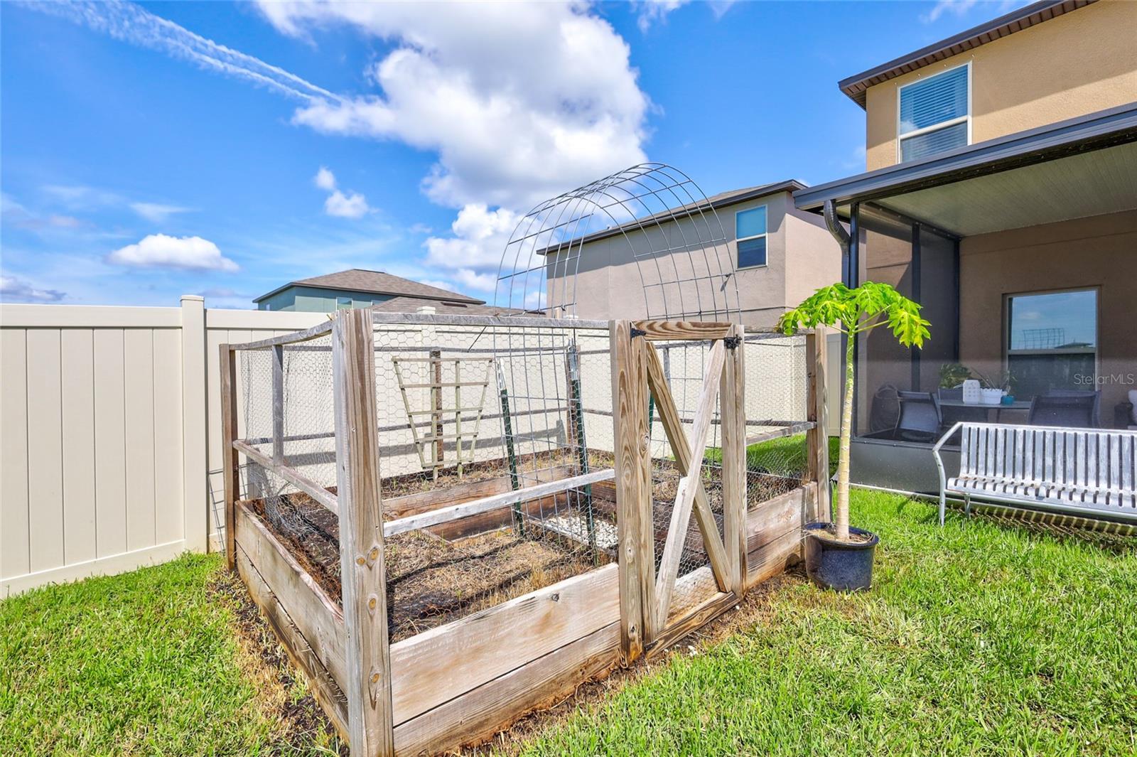 Backyard Garden