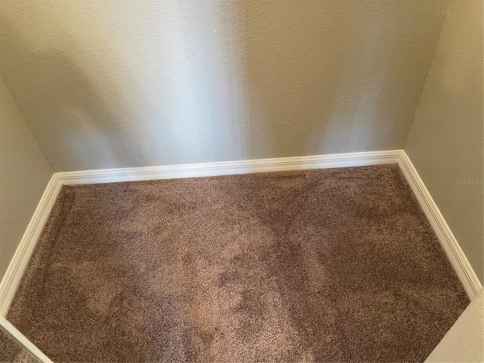 Carpet was replaced in August of 2024