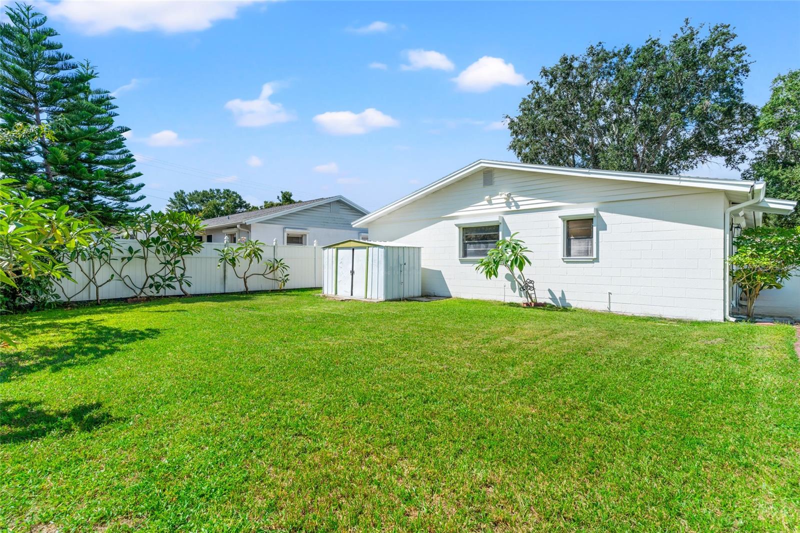 Large Backyard (small shed pictured is no longer there)