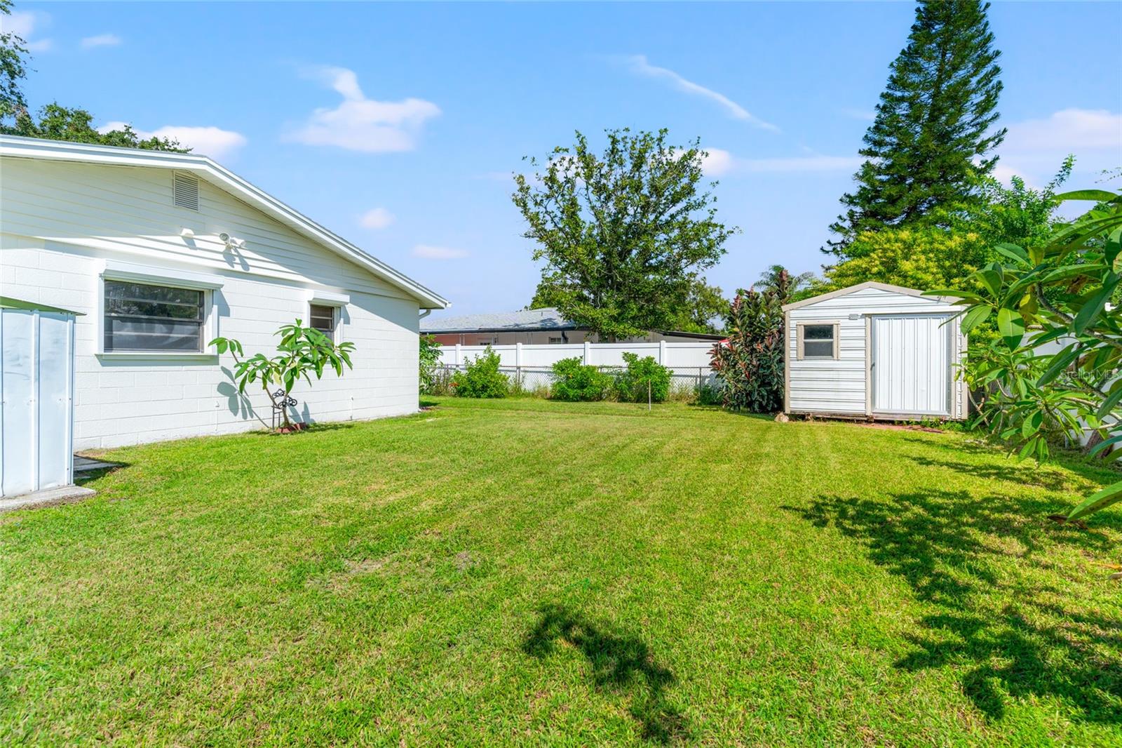 Backyard with sheds