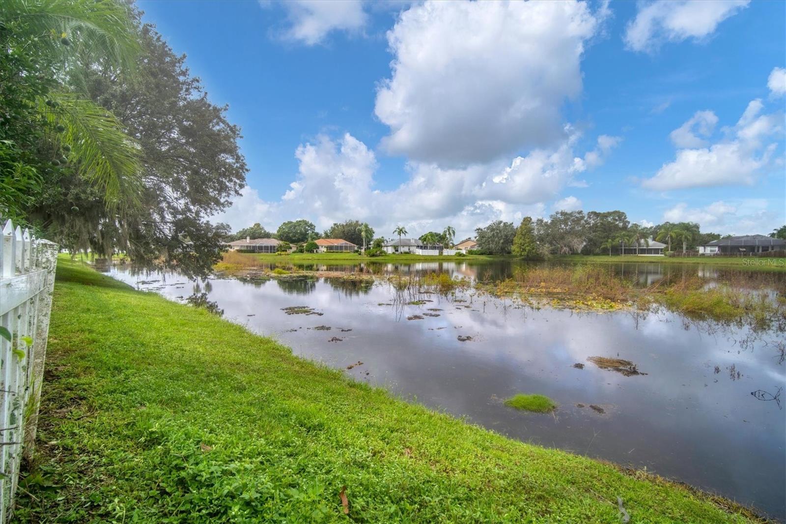 View of pond from outside the back fence