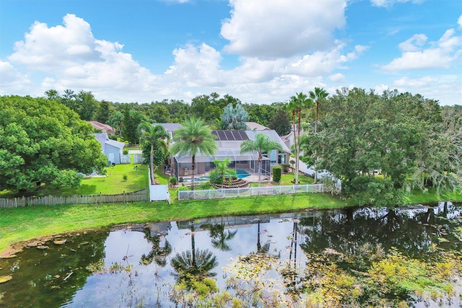 Aerial view of back of house & beautiful back yard with freshly trimmed palms.  Large semi-circle planter box is ready for your garden or favorite plants/flowers.