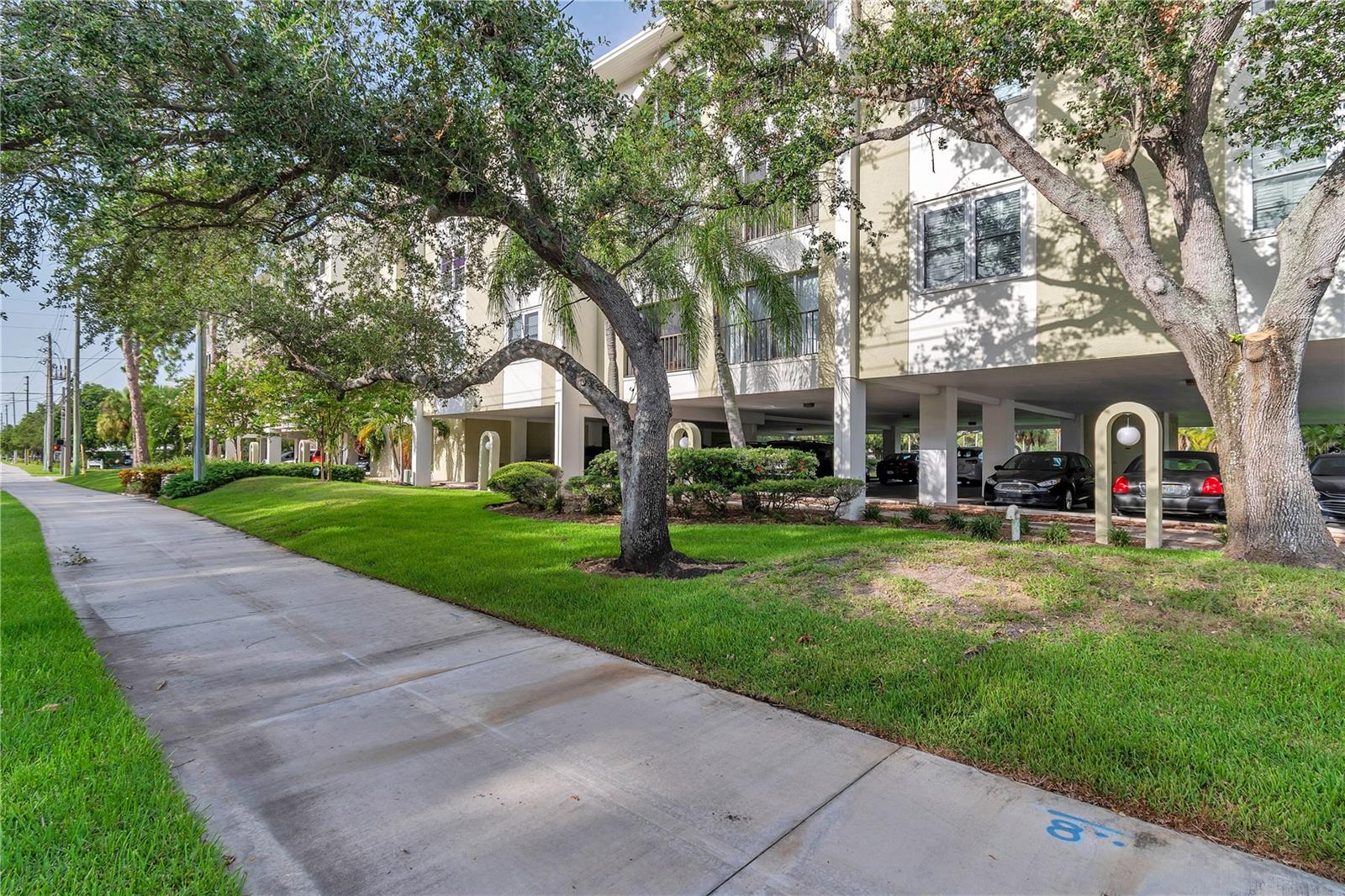 "St. Pete Trail" right in front of Racquet Club complex.