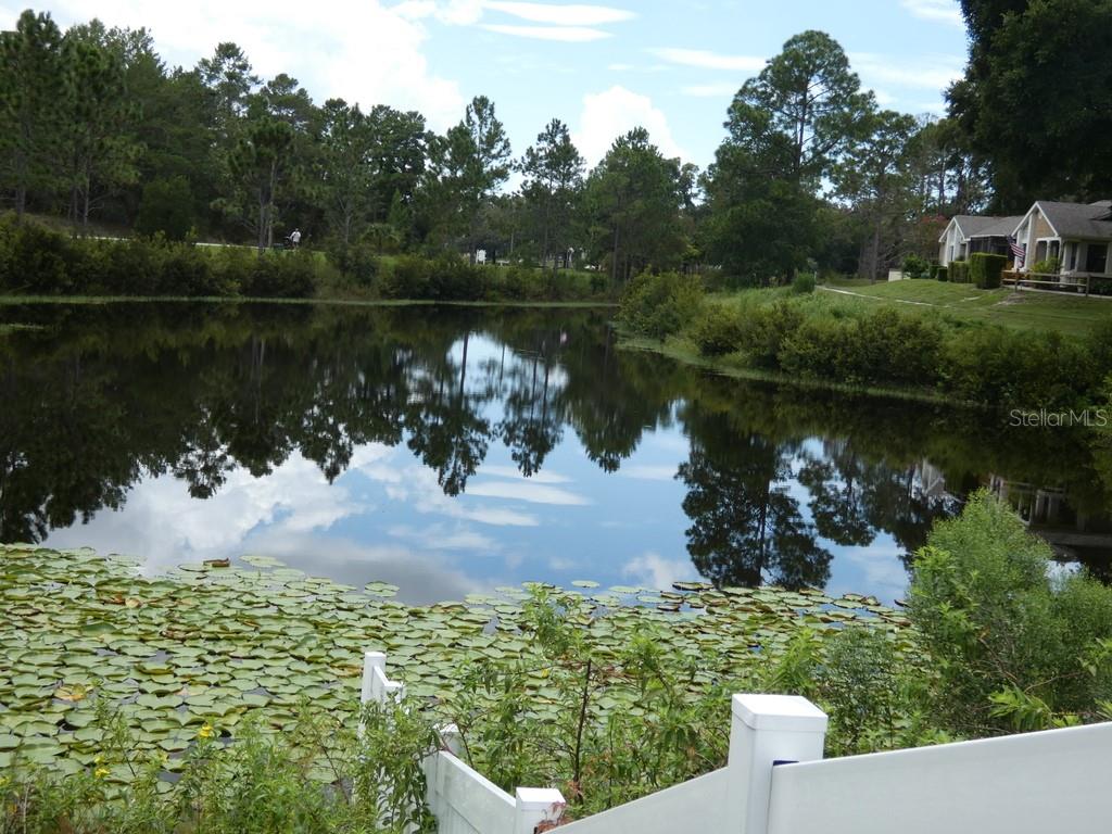 View From Pool & Club House