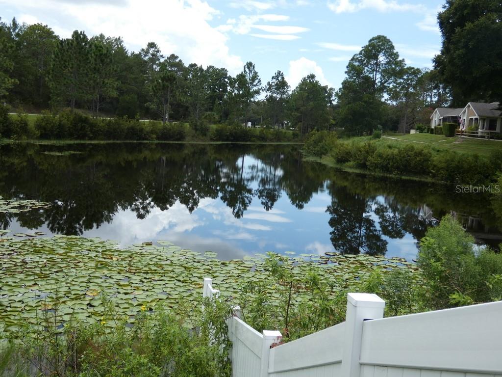 View From Pool & Club House