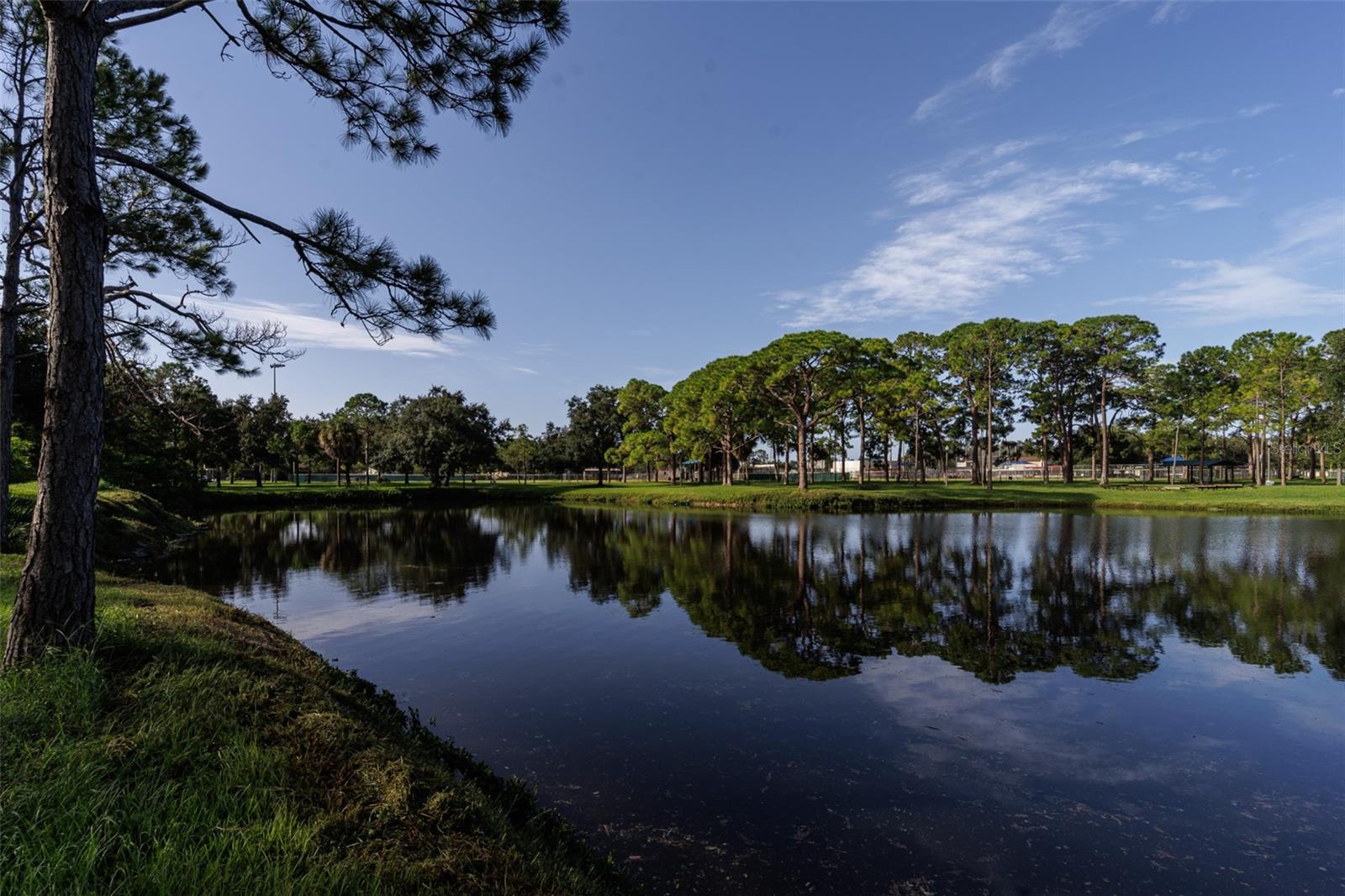 Fossil Park lake