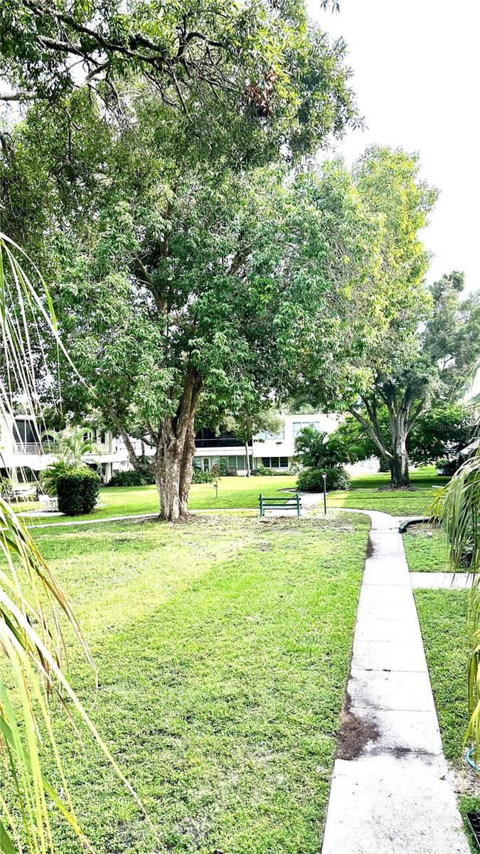 Courtyard view from front door