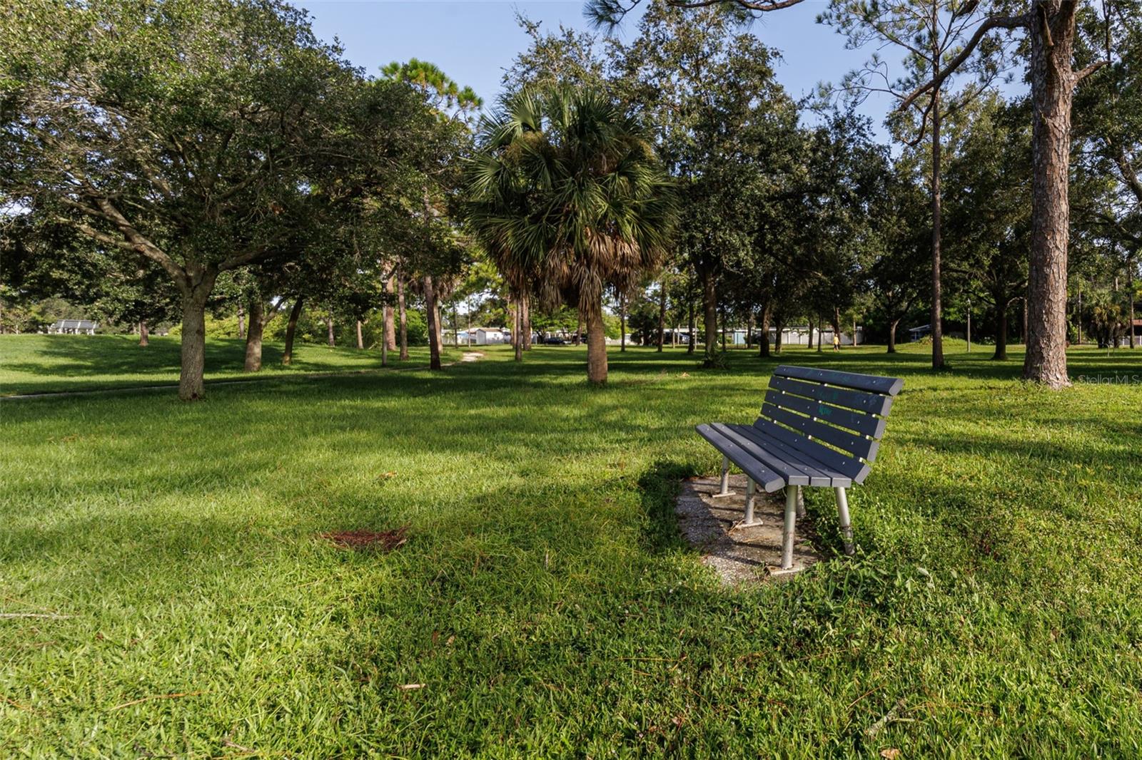 Bench at Fossil Park to relax