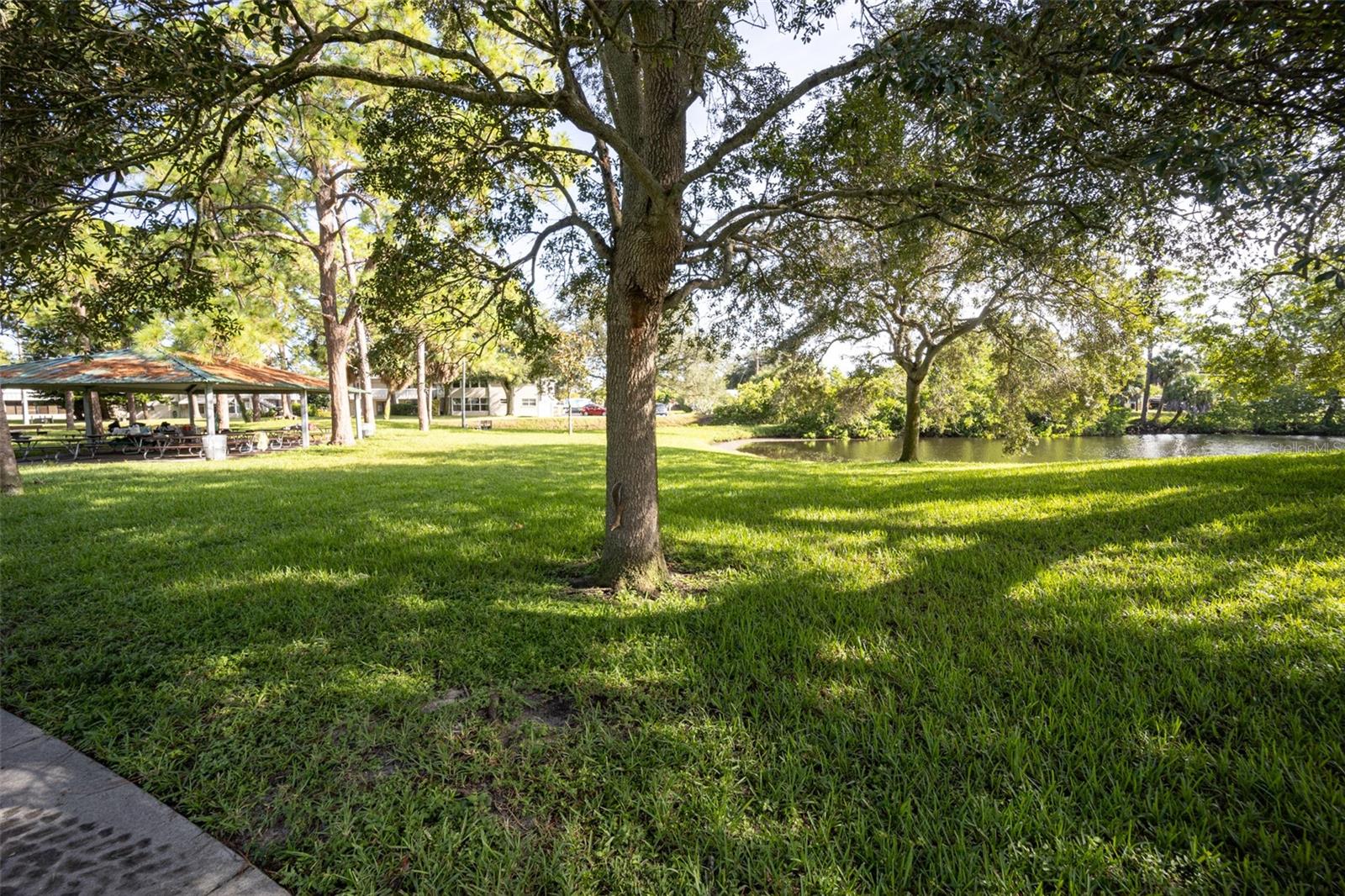 Picnic pavilion at Fossil Park