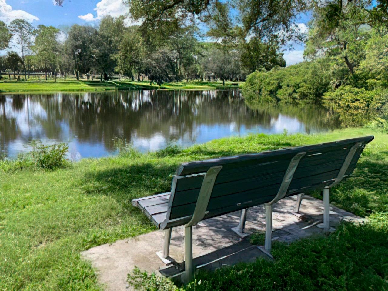 Bench at lake at Fossil Park