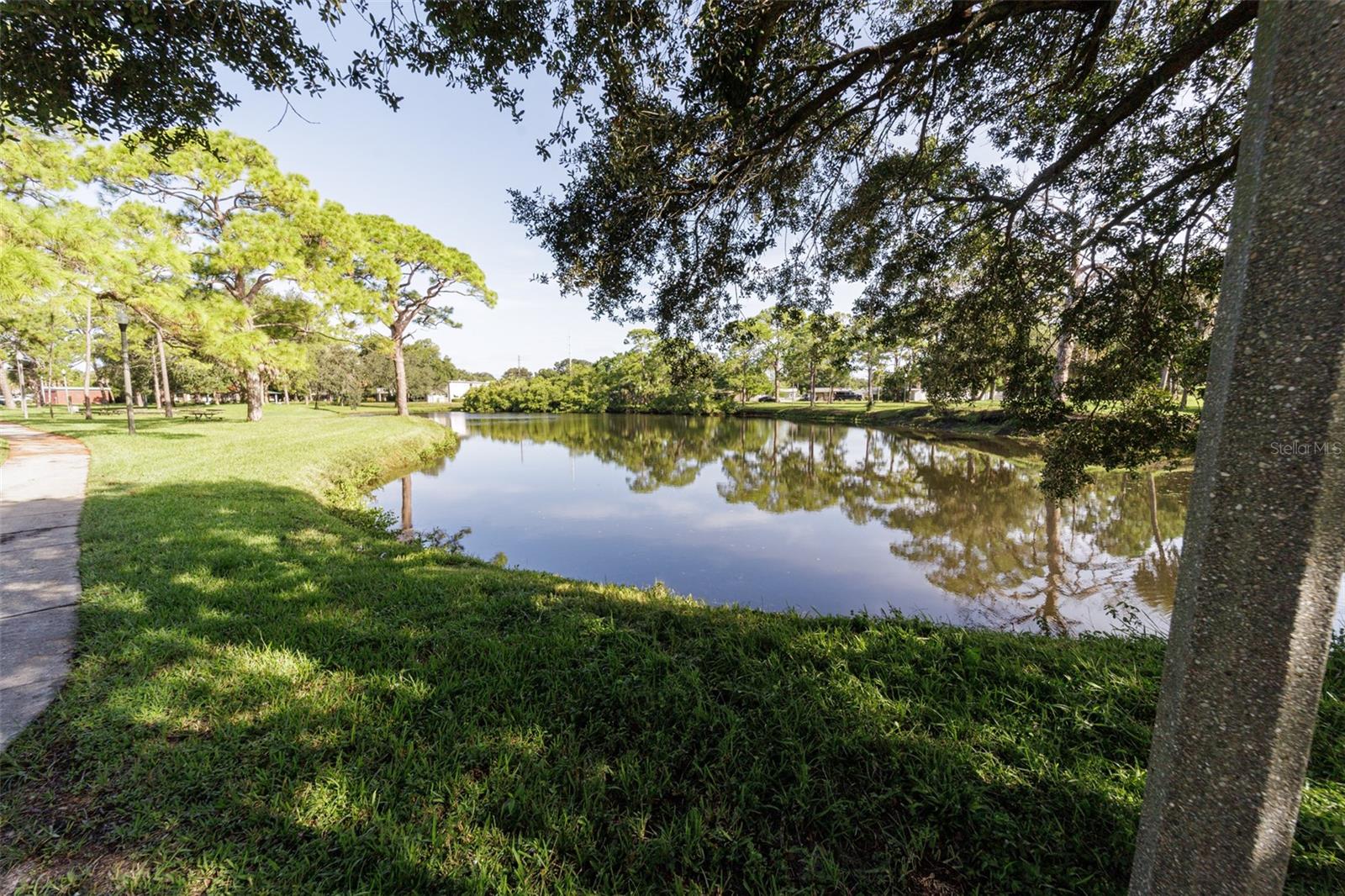 Lake at Fossil Park