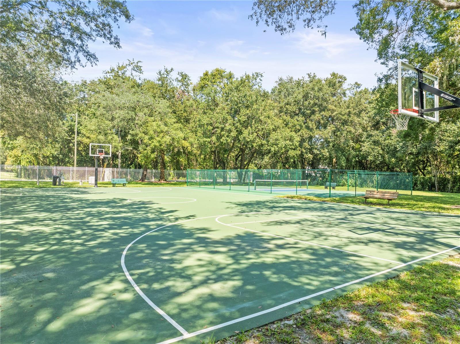 Basketball Court