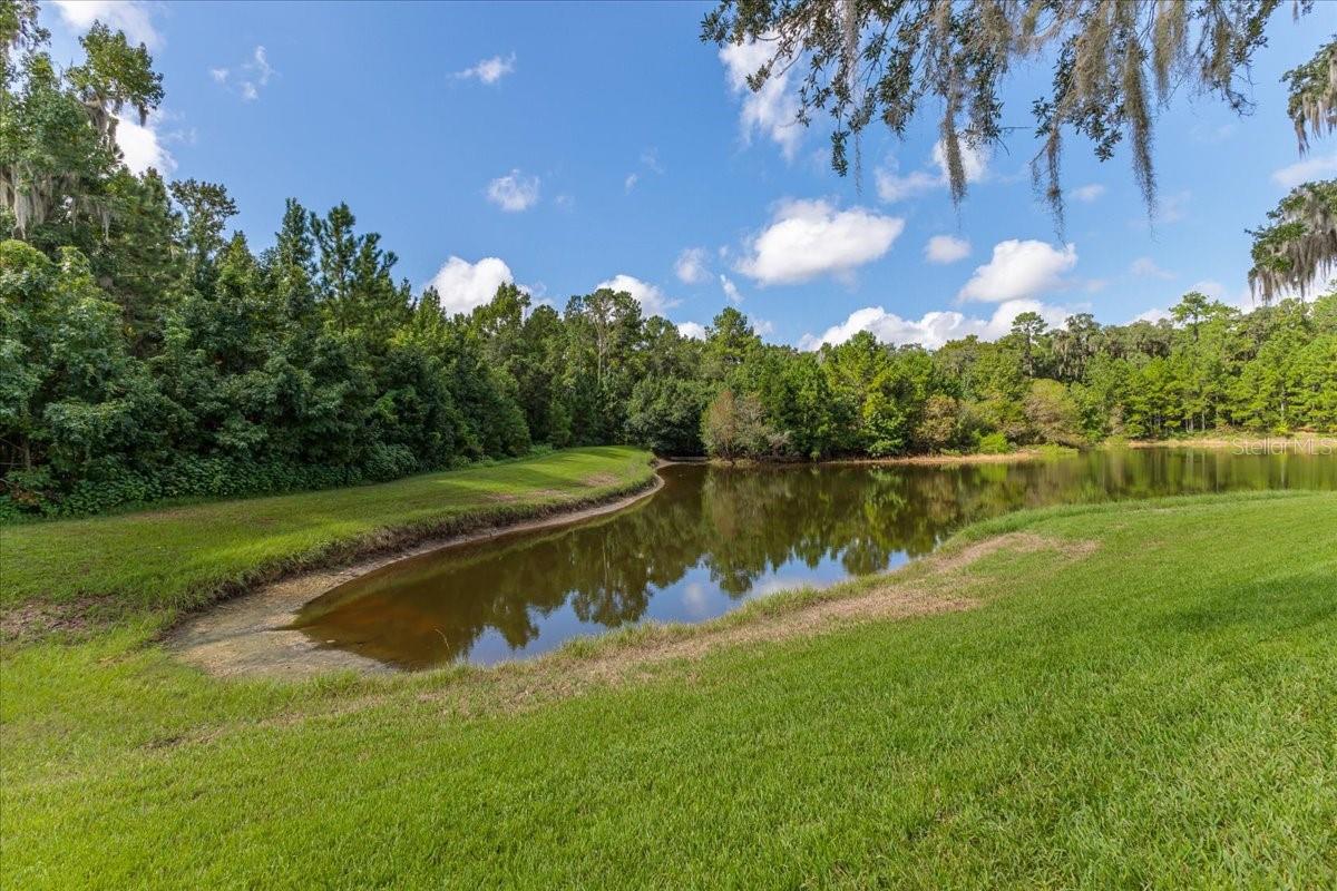 Beautiful Pond with Wildlife in your Backyard