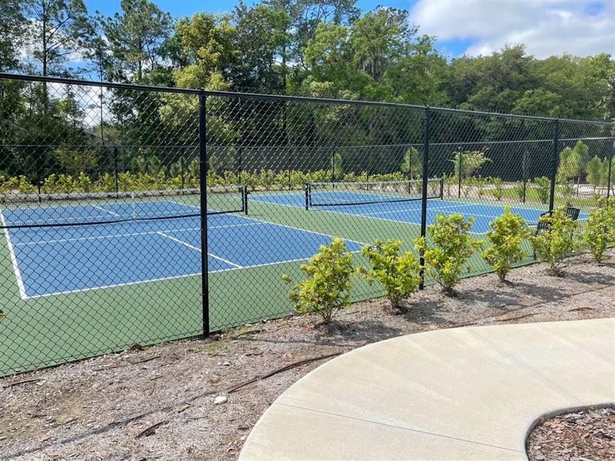 Pickleball Courts