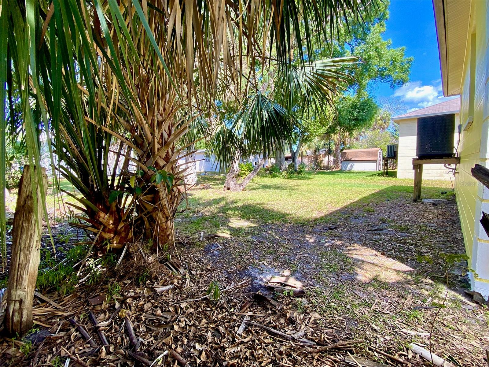 Backyard from one corner.