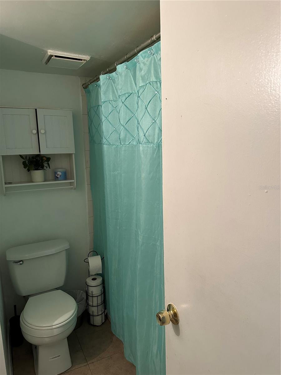 HALLWAY BATHROOM