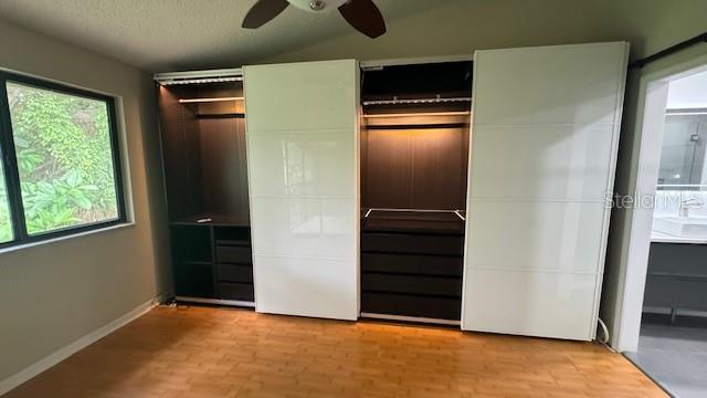 wall closet with lighting