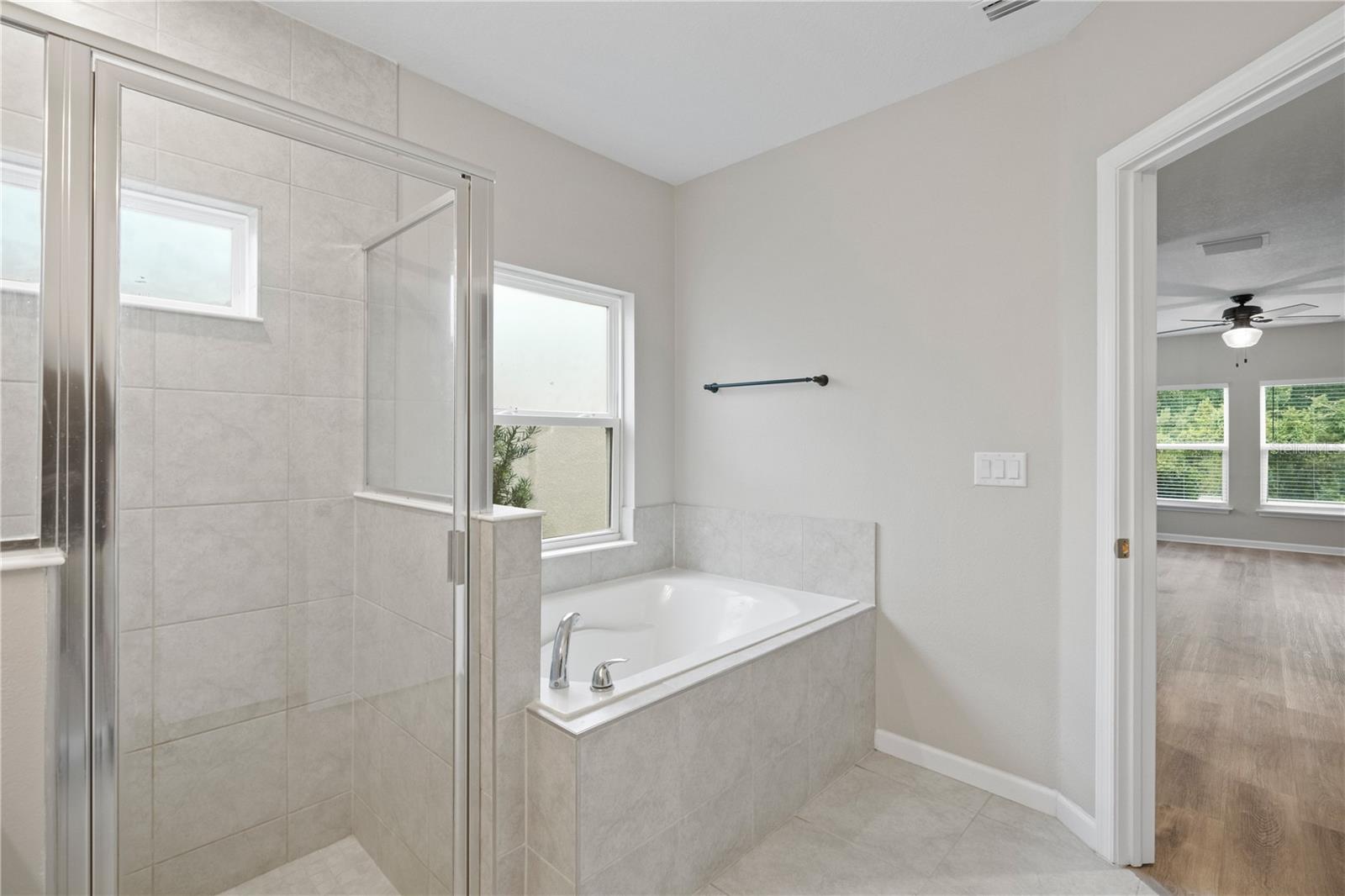 Master Bathroom - Tub/Shower