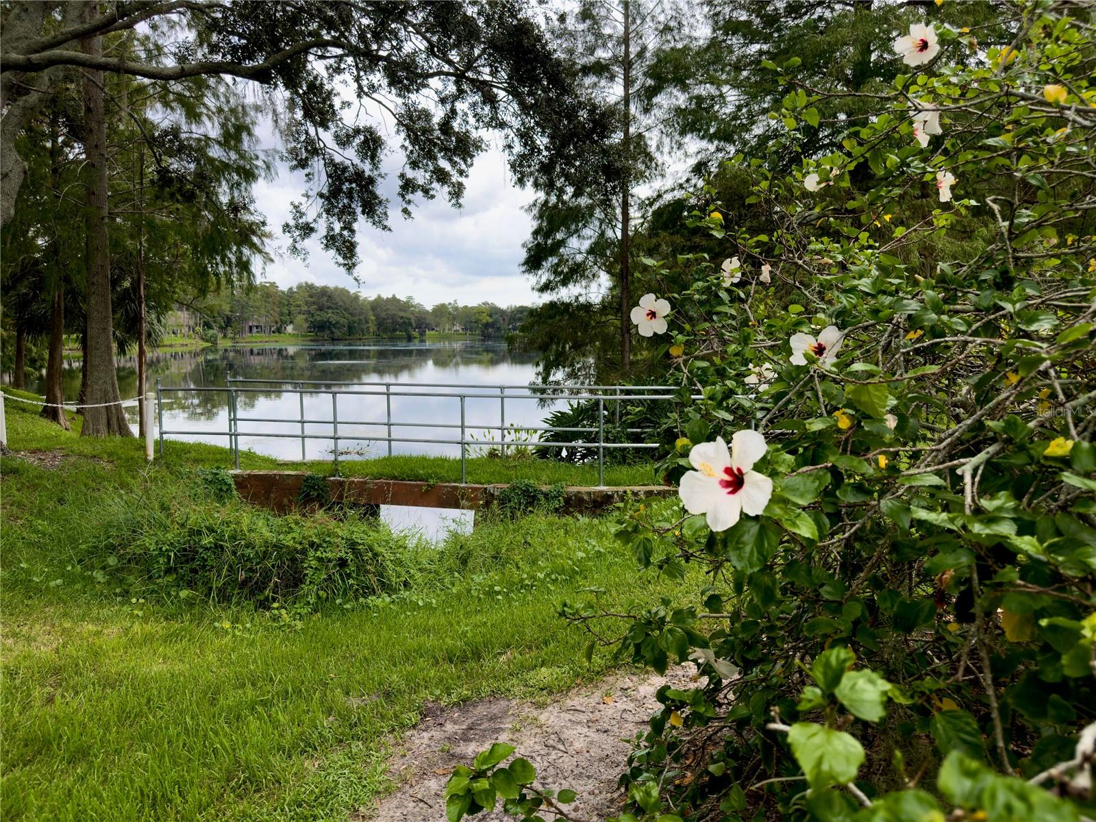 Pool backs to pond