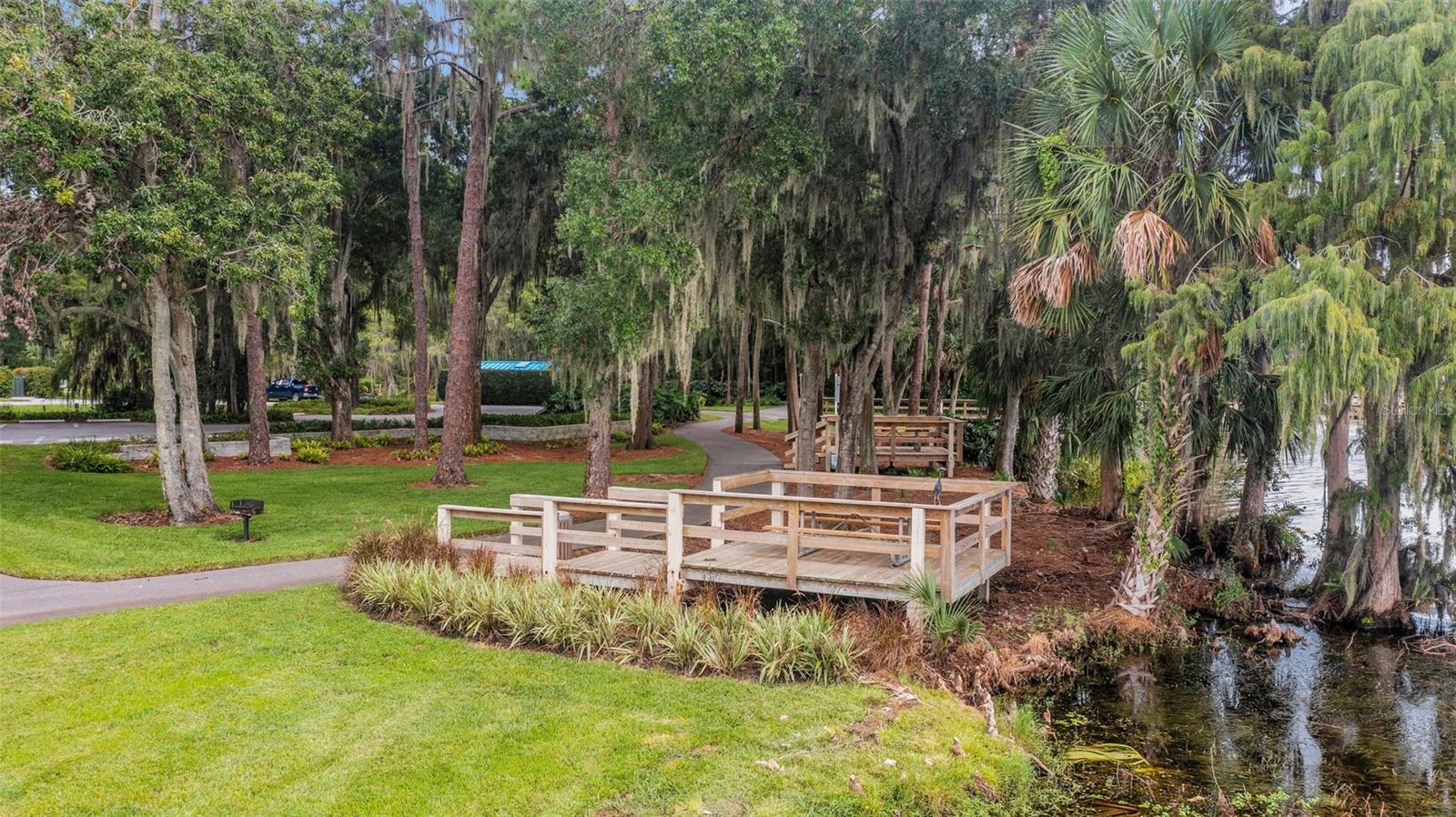 Lake Front Park features walking trails and access to Lake Tarpon