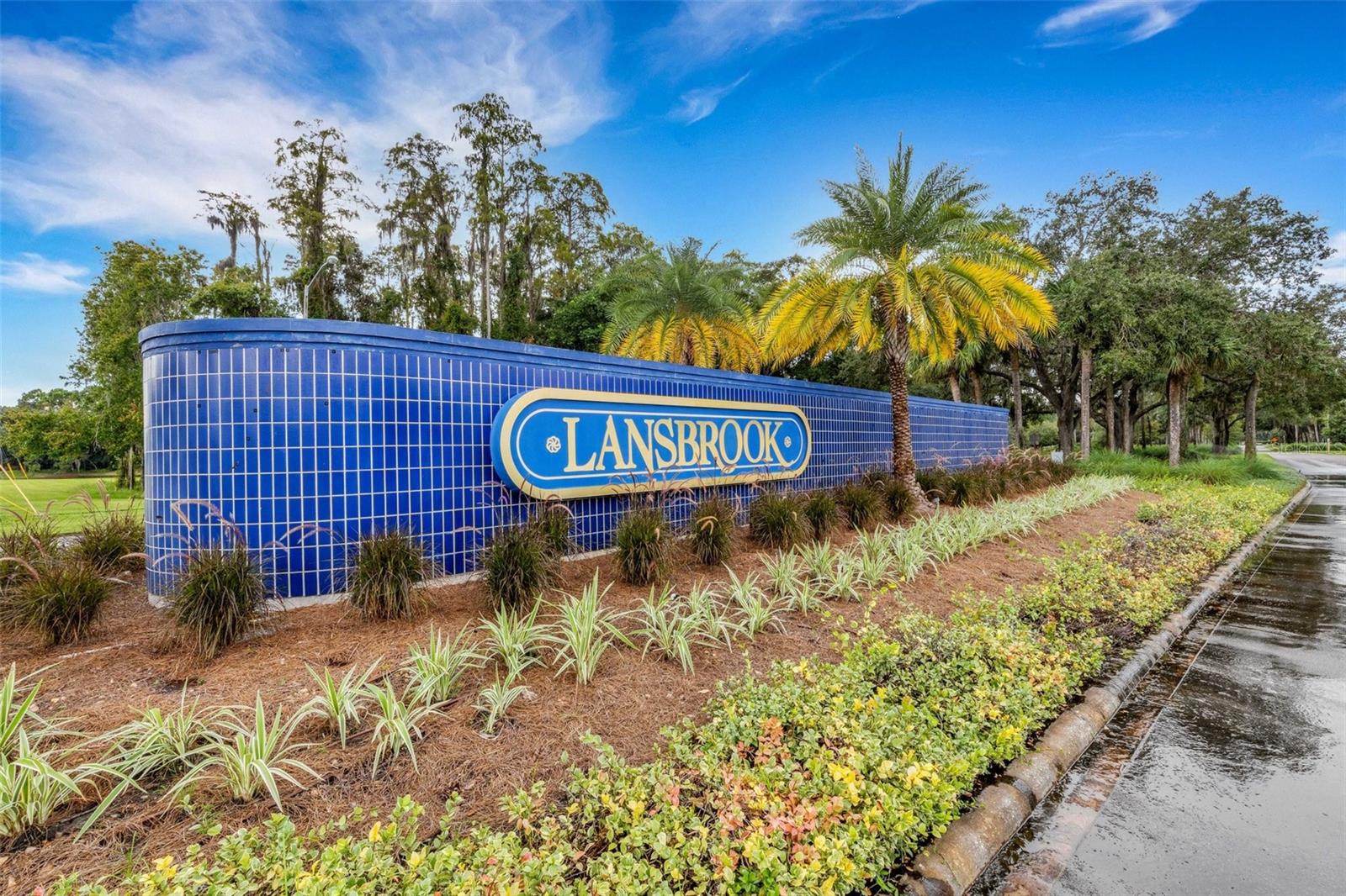 Lansbrook is one of Pinellas County's most-loved communities because of its top-rated schools, tree-lined streets, and community parks.