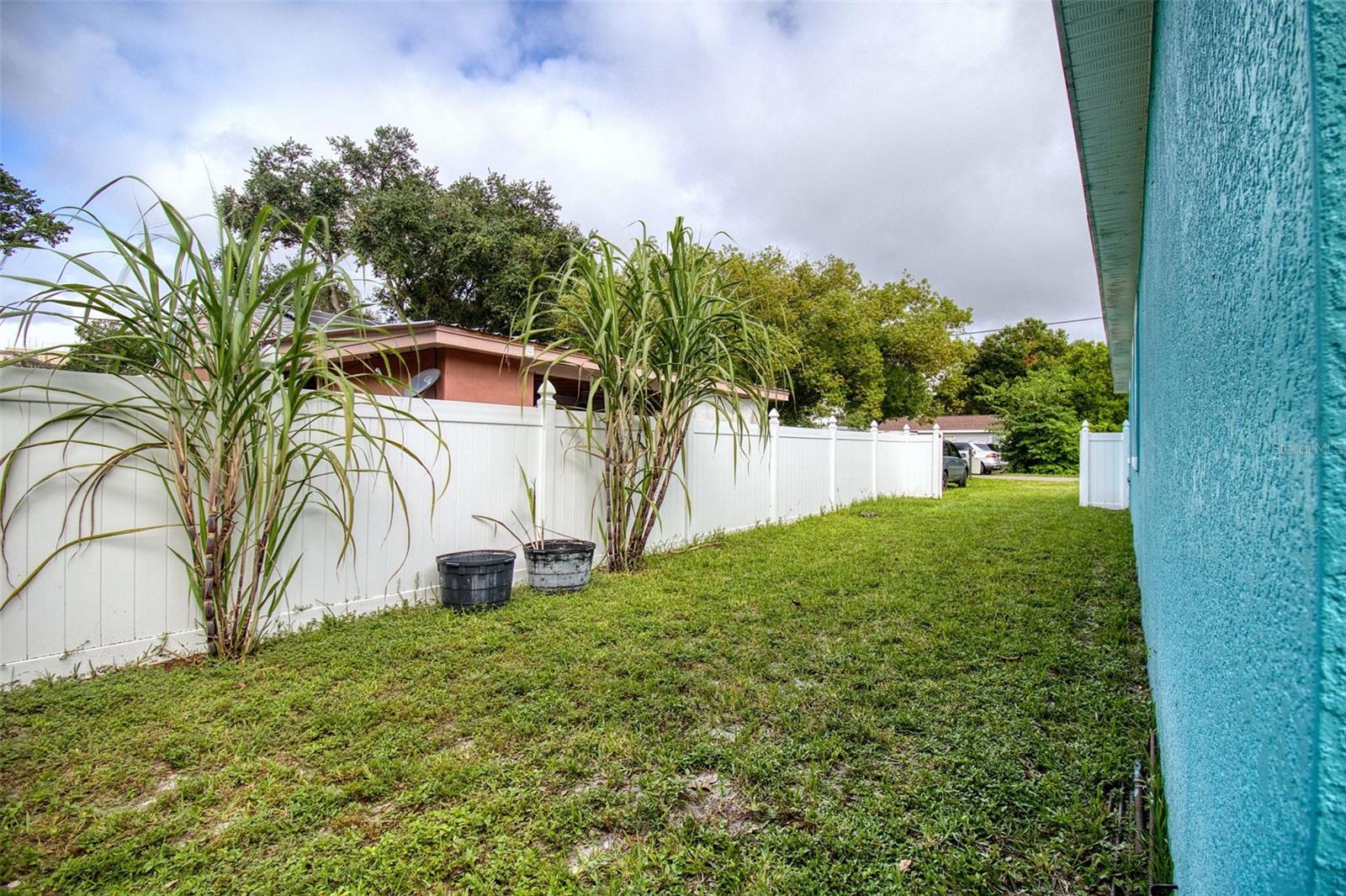 Large Side Yard